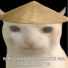 a cat wearing a hat with the words riri chan donr knoe wa mark san tb