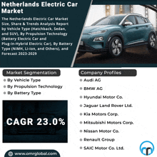 the netherlands electric car market size share and trends analysis report by vehicle type hatchback sedan and suv