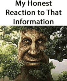 Tree My Reaction To That Information Meme