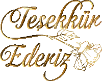 a drawing of a rose with the words tesekkir edeniz