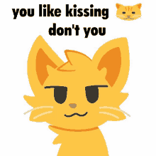 a picture of a cat with the words " you like kissing don 't you " below it