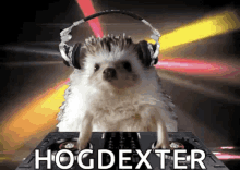 a hedgehog wearing headphones is standing in front of a dj mixer with the words hogdexter written on the bottom