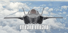 a fighter jet is flying through the clouds with the words `` miau miau '' above it .