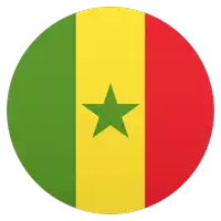 a green yellow and red flag with a star in the middle