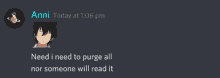 a screenshot of a discord conversation between anni and someone