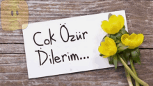 a card that says " çok ozur dilerim " next to some yellow flowers