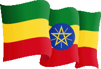 the flag of ethiopia has a blue star on it