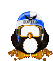 a cartoon penguin wearing a helmet with hooters written on it