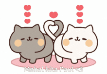 a couple of cats making a heart shape with their tails