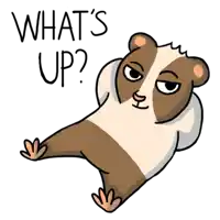 a cartoon of a guinea pig with the words " what 's up " below it