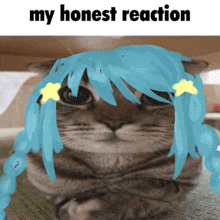 a picture of a cat with blue hair and the words " my honest reaction " above it