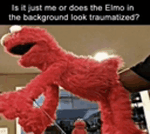 a person is holding a stuffed animal that looks like elmo .