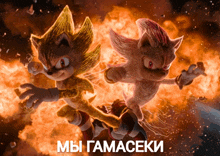 a poster of sonic the hedgehog and shadow the hedgehog with the words " мы gamacekи " on the bottom