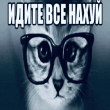 a cat wearing glasses with the words " идите все нахуи " below it