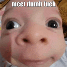 a close up of a baby 's face with the words meet dumb fuck on it