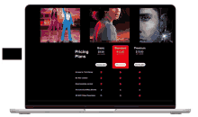 a laptop screen shows pricing plans for basic standard and premium subscriptions