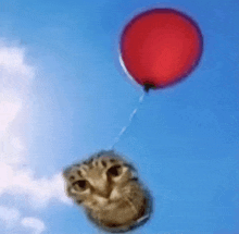 a cat is flying in the air with a red balloon