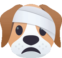 an illustration of a dog with a bandage on his head