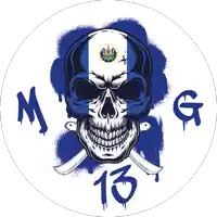 a skull with a flag on it and the number 13 on the bottom