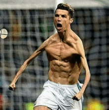 a shirtless soccer player is celebrating a goal on a soccer field .