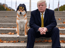 a man in a suit sits next to a dog wearing a dea hat