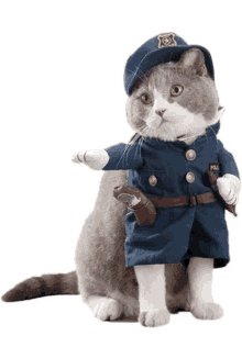 a cat dressed up as a police officer with a gun