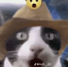 a black and white cat wearing a cowboy hat with a surprised smiley face on top .