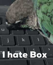 a bird sitting on top of a keyboard with the words " i hate box " written below it