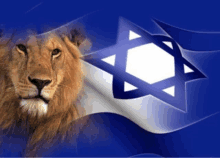 a lion is behind a blue and white flag with a star on it