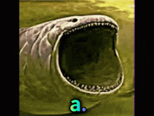 a picture of a shark with its mouth wide open and the letter a behind it