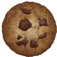 a chocolate chip cookie with a white background