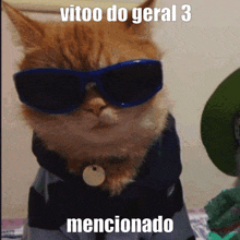 a cat wearing sunglasses and a sweater with the words vitoo do geral 3 mentionado