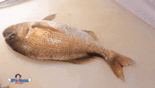 a large fish is laying on a cutting board with a picture of a woman with wings in the background