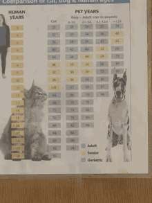 a cat and a dog are shown on a page that says pet years