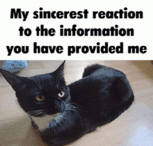 a black and white cat is laying on a wooden floor next to a sign that says my sincerest reaction to the information you have provided