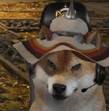 a dog wearing a hat and headphones with a microphone on its head