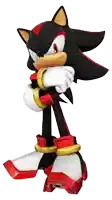 shadow the hedgehog from the video game sonic the hedgehog is standing with his arms crossed .