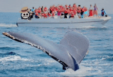 a whale 's tail is being displayed in front of a boat full of people