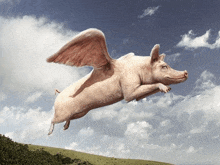 a pig with wings flies through a cloudy sky