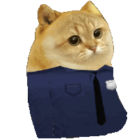 a cat in a police uniform with a badge on its chest