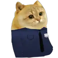 a cat in a police uniform with a badge on its chest