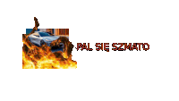 a picture of a car with flames and the words pal sie szmato below it