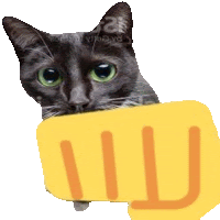 a black cat is holding a yellow fist with the letter m on it