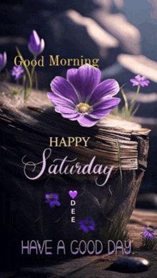 a picture of purple flowers with the words " good morning happy saturday "