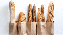 a row of bread sticks in brown paper bags