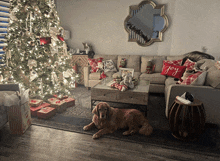 a dog is laying on the floor in front of a christmas tree with a pillow that says joy