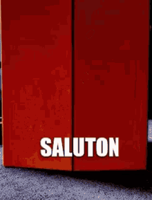 a red box with the word saluton in white letters