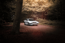 a car is driving down a dirt road through a forest