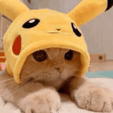 a cat is wearing a pikachu hat and looking at the camera .