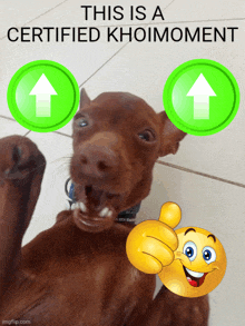 a brown dog with two green arrows pointing up and a smiley face